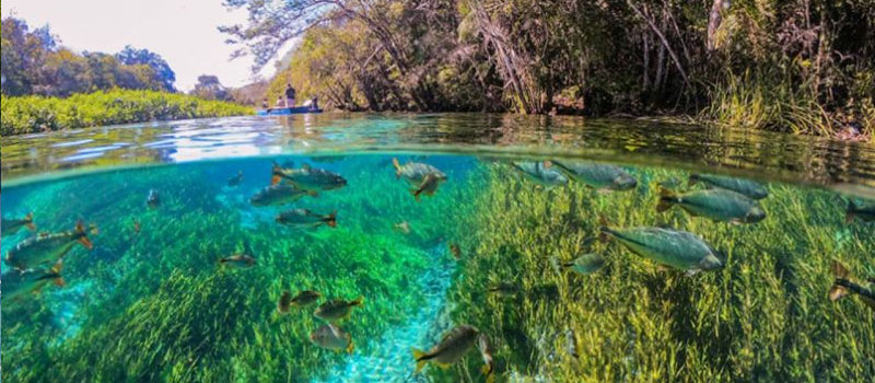 Feriados no Brasil: 7 Destinos Incríveis - Bonito - Mato Grosso do Sul