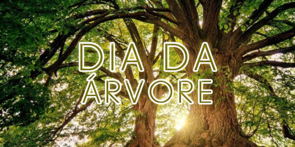 Dia da Árvore