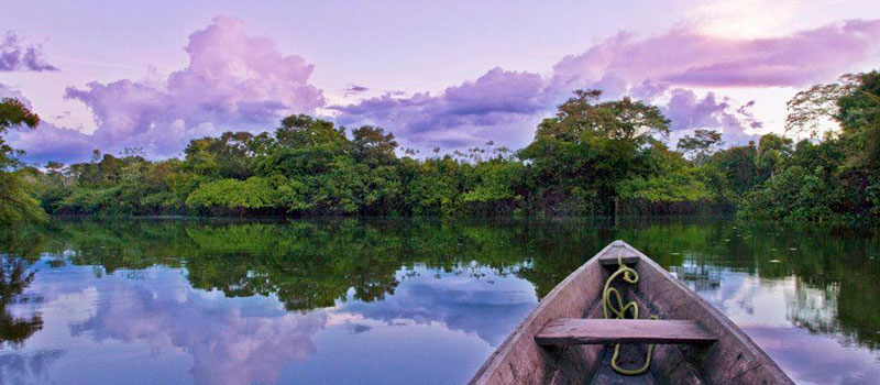 Feriados no Brasil: 7 Destinos Incríveis - Amazônia